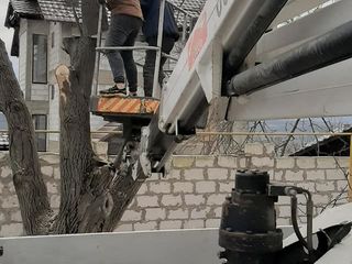 Tăierea copacilor înclinați sau deteriorați- cu masini si echipamente speciale .Calitatea garantată foto 16