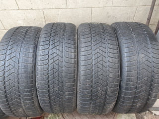 255/50/ R19- PIRELLI.2023г.