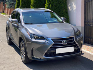 Lexus NX Series