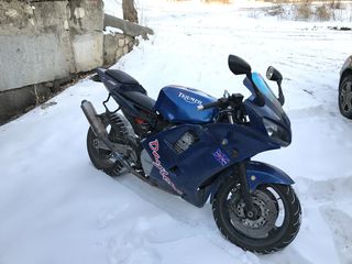 Triumph Daytona foto 1