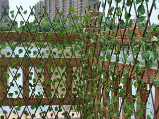 Gard Verde foto 8