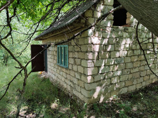 Negociabil - Livada de nuci Negureni, căsuța de vacanță, apa foto 4