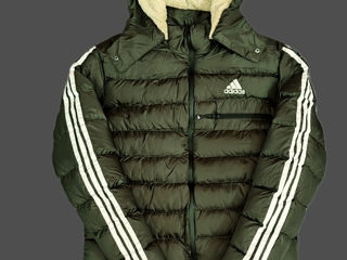 Adidas The North Face foto 9