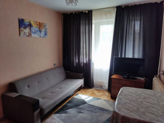 Apartament cu 1 cameră, 32 m², Paminteni, Bălți