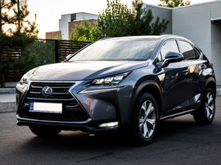 Lexus NX Series