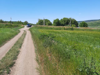 Se vinde teren agricol foto 4