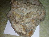 Морской камень из Крыма foto 6