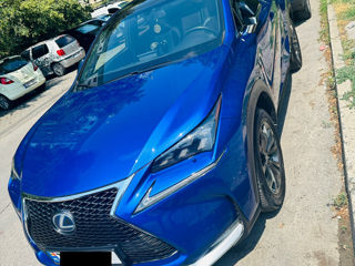 Lexus NX Series