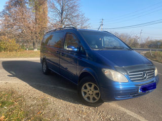 Mercedes Viano foto 2