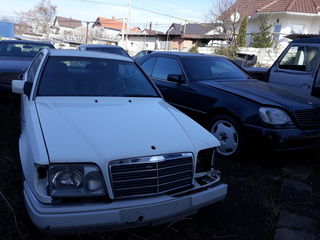 Mercedes Разборка запчасти, Piese auto W124, W126, W 190, W 140, 210, W220