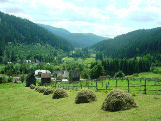 Teren pentru investitii in Bucovina foto 4