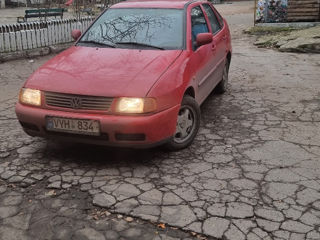 Volkswagen Polo foto 4