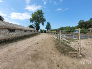 Se vinde teren cu Fermă în s. Ivancea, Orhei, Chișinău foto 3