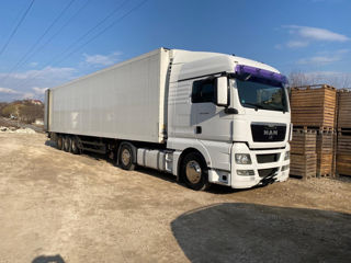 Man Tgx