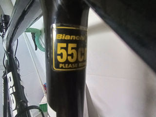 Bianchi foto 8