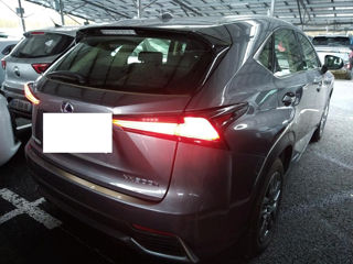 Lexus NX Series foto 3