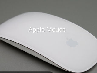 Apple Mouse . Pret 290 Lei foto 1