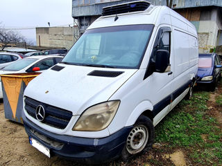 Mercedes Sprinter delfin