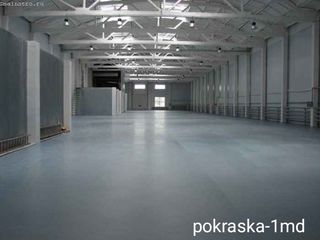 Stop! Vopsire professionala cu crascopult  .Красим профессионально. Гарантия -100% результат. foto 4