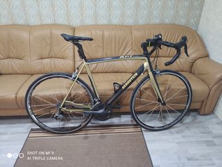 xl carbon road bike