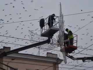 Arendă autoturn pentru instalarea decorațiunilor pe fatade, cladiri, impodobirea brazilor! foto 13