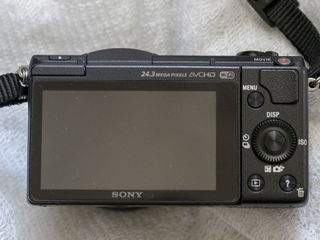 Продаю фотоаппарат Sony Alpha 5100 (хорошая цена !!!) (310 евро) Ботаника foto 5
