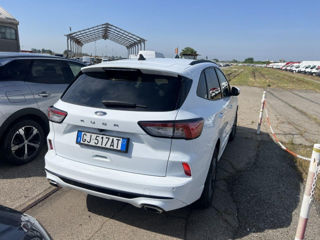 Ford Kuga foto 3