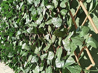 Искусственный зеленый забор. foto 5