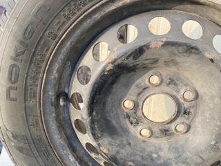 Roti 5x112.   195/65r15.  Nokian foto 5