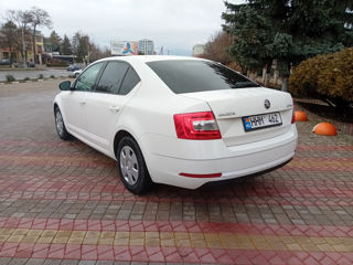 Skoda Octavia foto 4