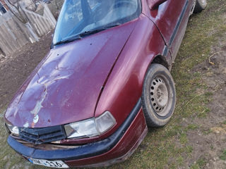 Opel Vectra foto 3