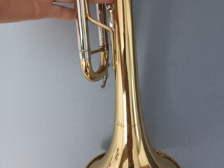 Trompeta/труба foto 3