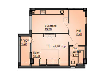 Apartament cu 1 cameră, 48 m², Centru, Orhei foto 3