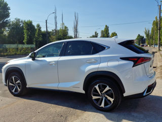 Lexus NX Series foto 6