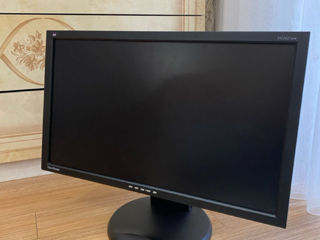 Monitor 24