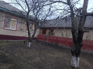 Продаётся дом в селе стурзовка р.глодень (цена договорная ) foto 3