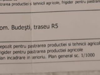 69 соток у трассы. foto 3