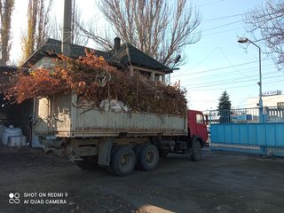 Копаем огороды. Вырубка деревьев. Чистка деревьев. Уборка территории foto 8