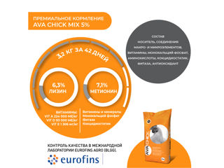 Premix de îngrășare pentru pui de carne AVA CHICK MIX 5%. Pungă 25kg foto 2