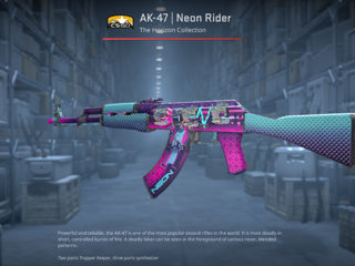 CS2 SKIN: AK47 Neon Rider