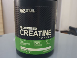 Creatine Monohydrate 317g