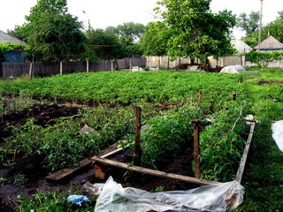 Se vinde casa in Ungheni, Beresti. foto 3