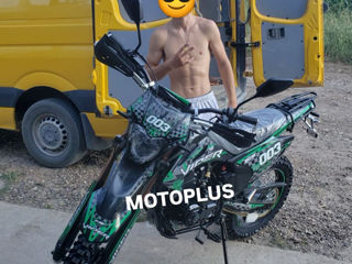Viper 003 PRO new foto 6