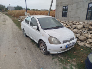 FAW Vita, 2009 г.