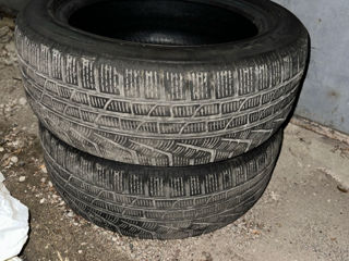 225 50 r17 Pirelli