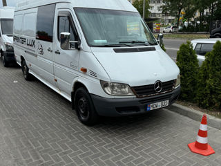 Mercedes Mercede Sprinter 313 foto 2