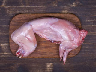 Carne proaspătă de iepure.