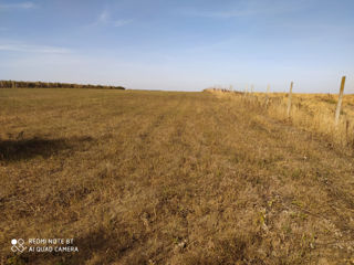 Vind 2,04 ha teren agricol care se afla in extravilanul or. Rezina (pe dealul s. Stohnaia). foto 4