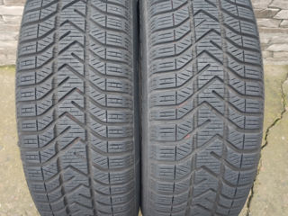 Продам два ската             Pirelli             195/65/15