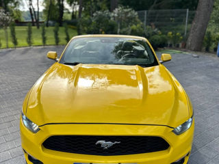 Ford Mustang foto 17